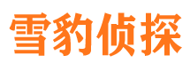 亚东市侦探调查公司